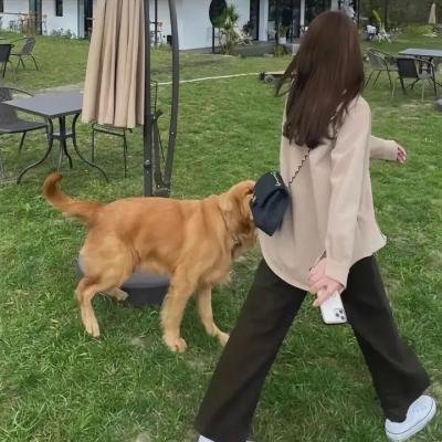 绝不妥协